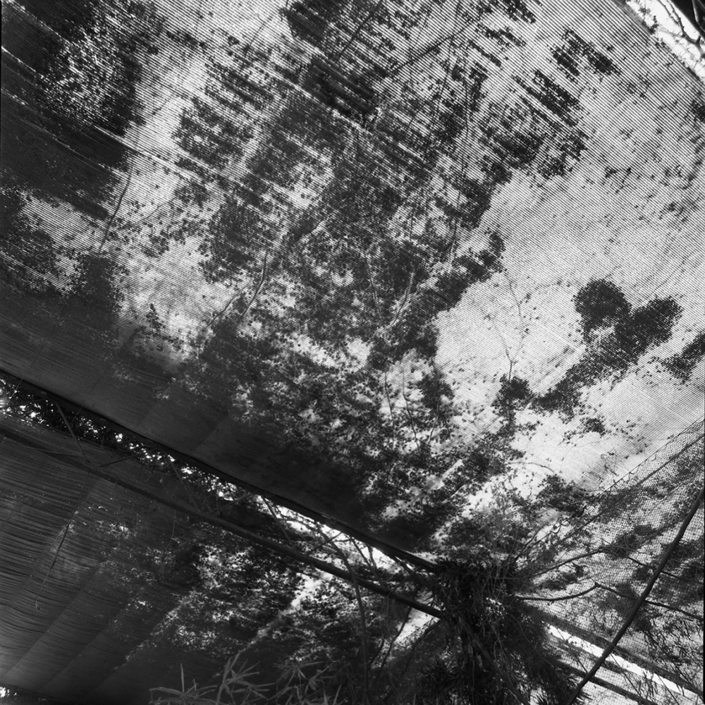 Émilie Danchin, La proximité du ciel, série de photographies