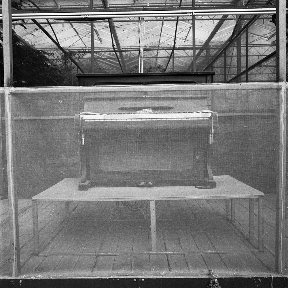 Émilie Danchin, La proximité du ciel, série de photographies