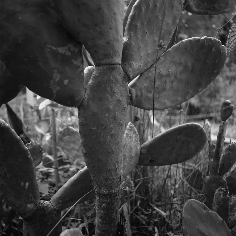 Émilie Danchin, La proximité du ciel, série de photographies