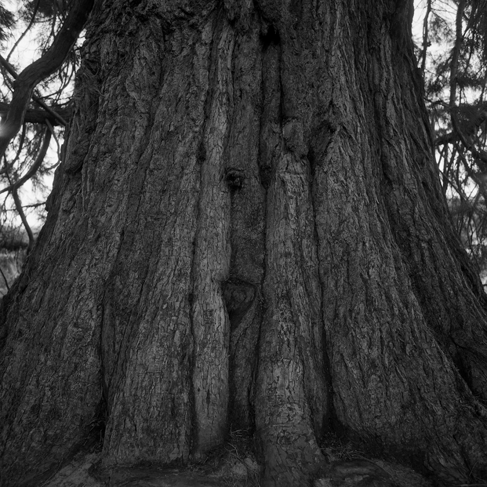 Émilie Danchin, La proximité du ciel, série de photographies