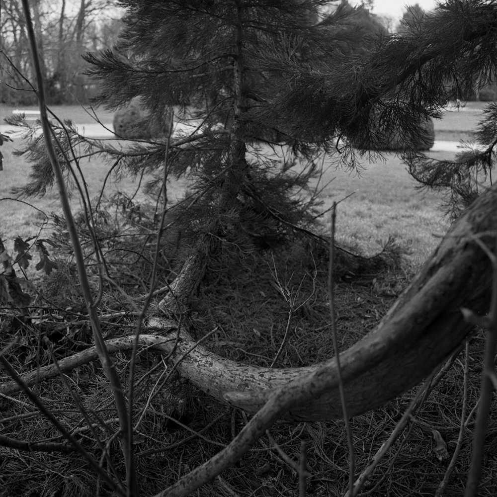Émilie Danchin, La proximité du ciel, série de photographies