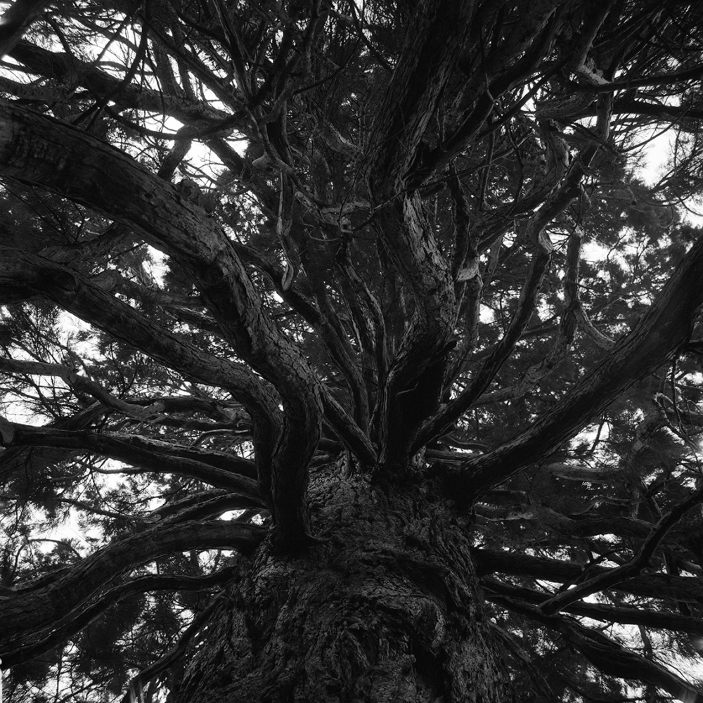 Émilie Danchin, La proximité du ciel, série de photographies