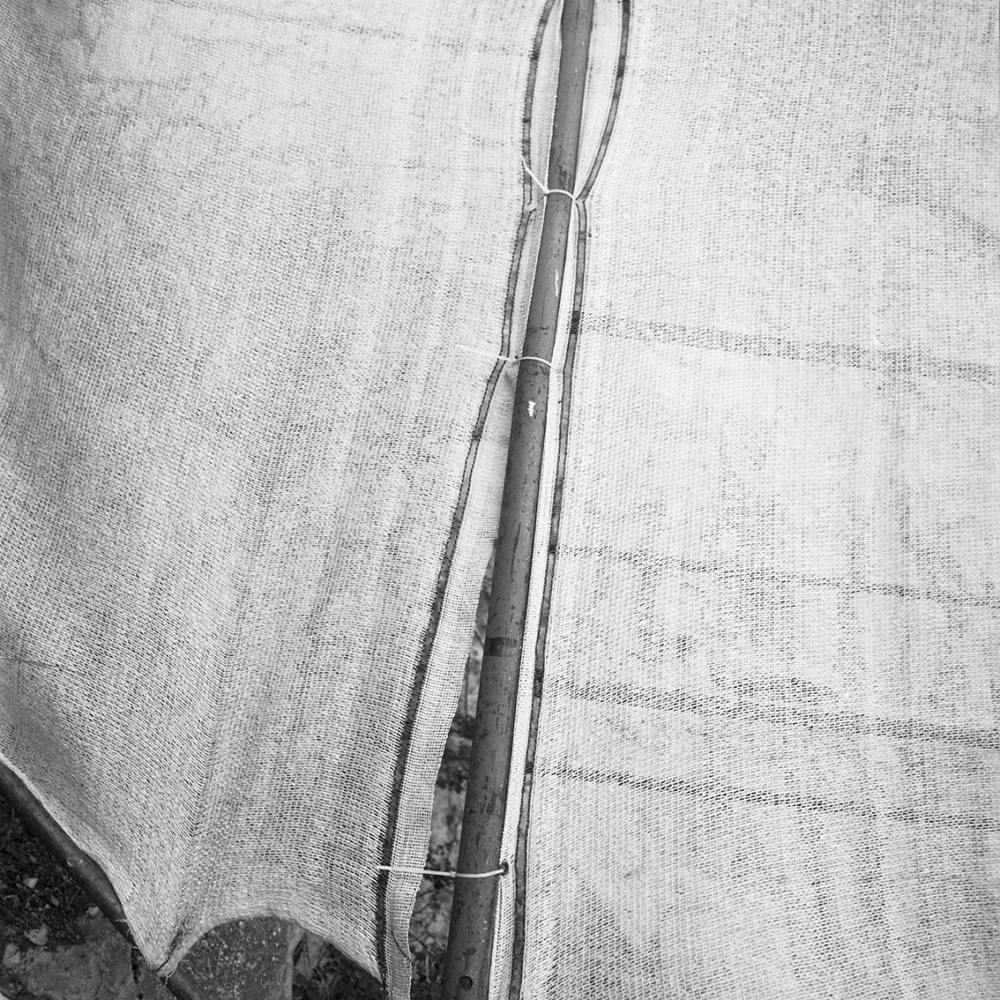 Émilie Danchin, La proximité du ciel, série de photographies