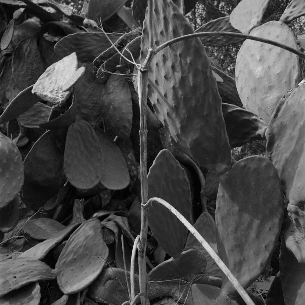 Émilie Danchin, La proximité du ciel, série de photographies