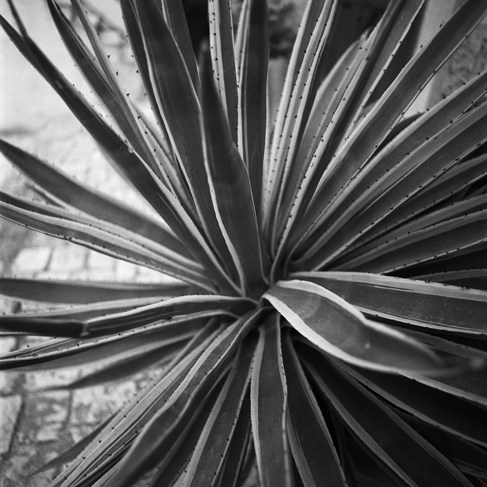 Émilie Danchin, La proximité du ciel, série de photographies