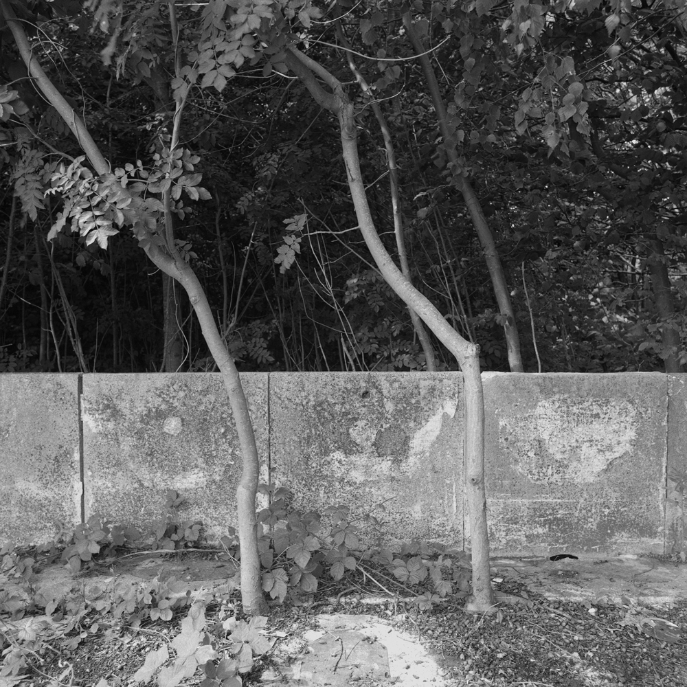 Émilie Danchin, La proximité du ciel, série de photographies