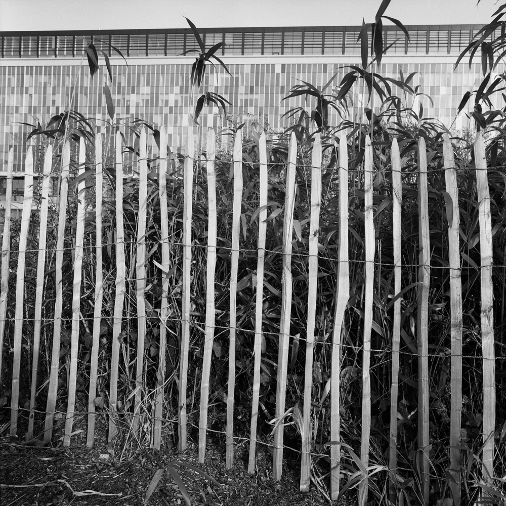 Émilie Danchin, La proximité du ciel, série de photographies