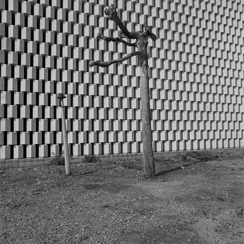 Émilie Danchin, La proximité du ciel, série de photographies